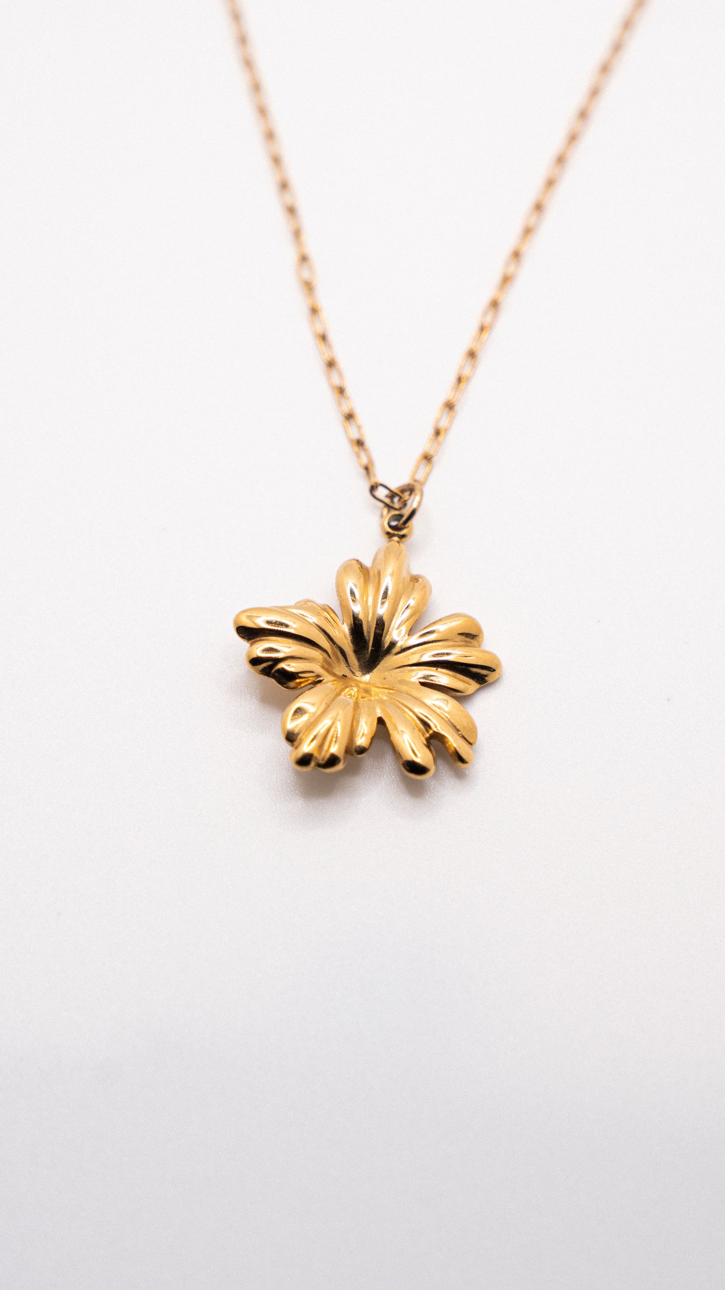 Flor de Maga