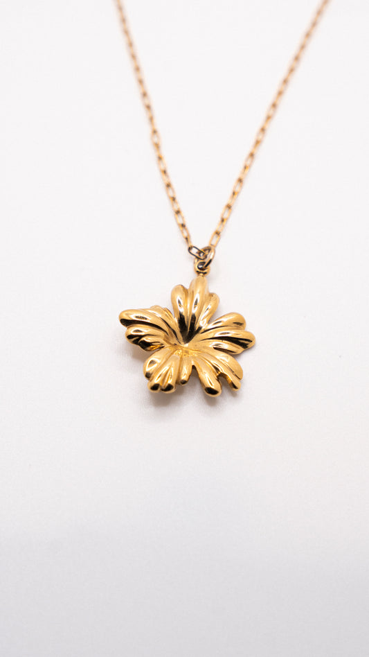 Flor de Maga